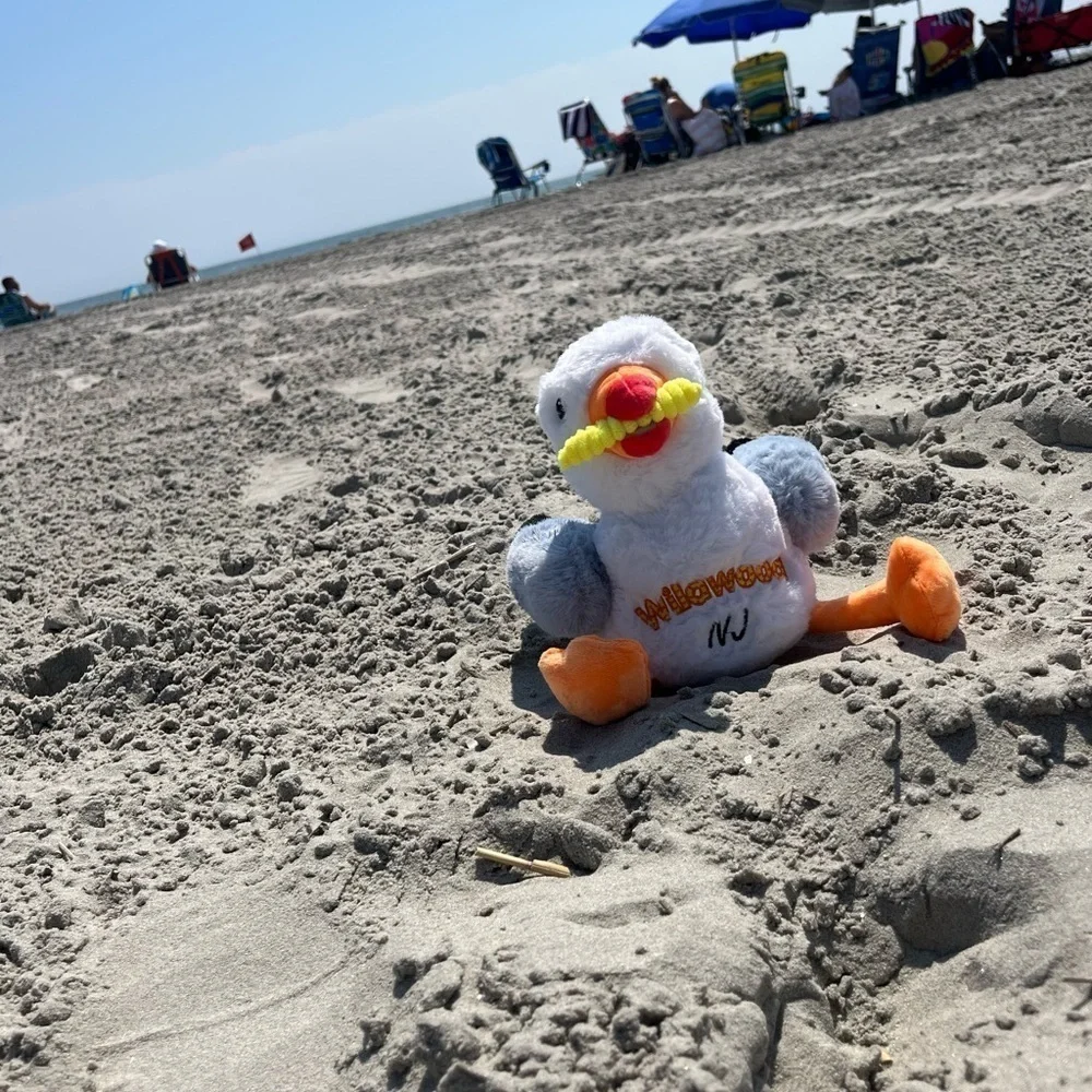 Seagull Plush Toy Wildwood NJ New Fry in his